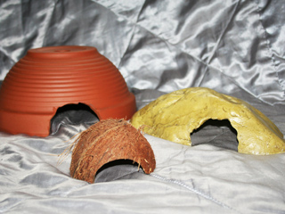 A range of hides that are suitable for use with a Brazilian Rainbow Boa