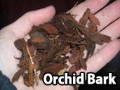 Orchid Bark - a suitable substrate for a Brazilian Rainbow Boa